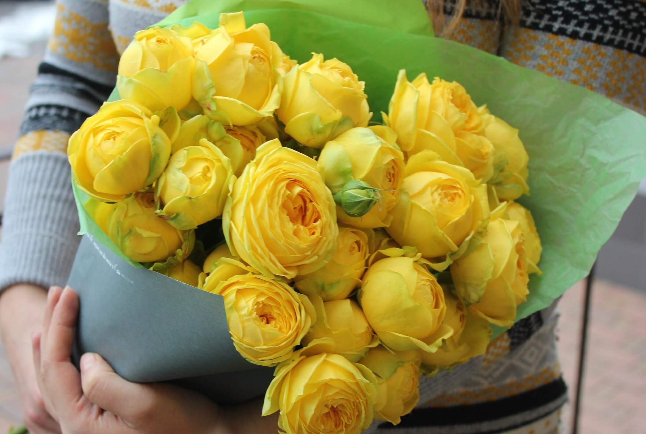Katalina - сорт розы насыщенного лимонного оттенка, с высокой устойчивостью к заболеваниям